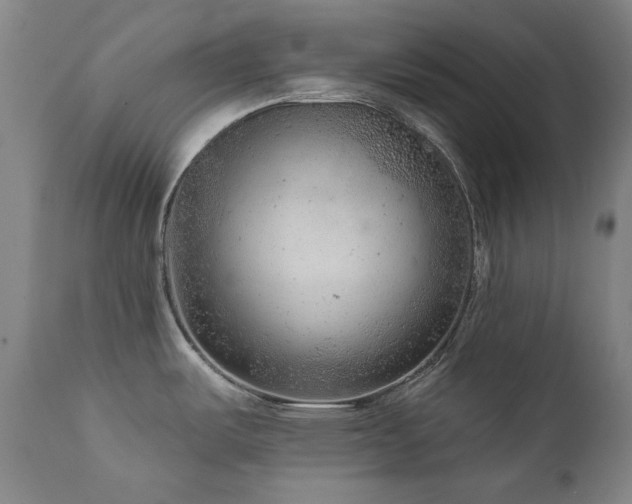 X0000111941487200907271401