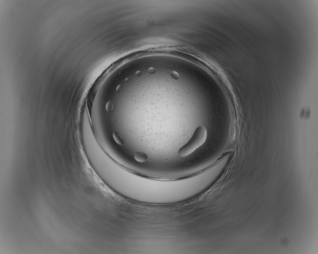 X0000111941488200907271401