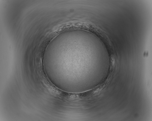 X0000111941489200907271400
