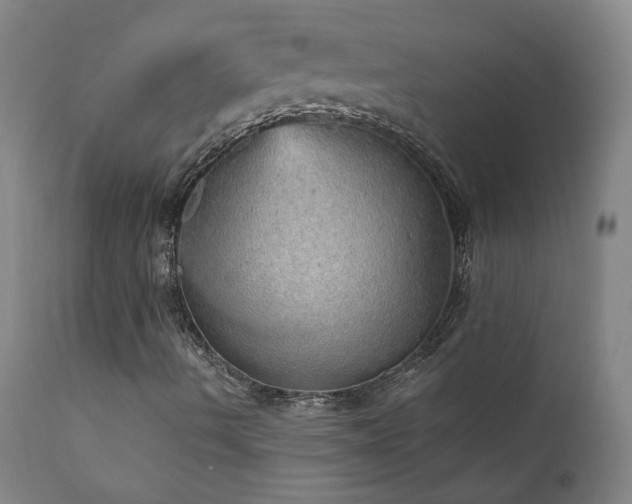 X0000111941490200907271400