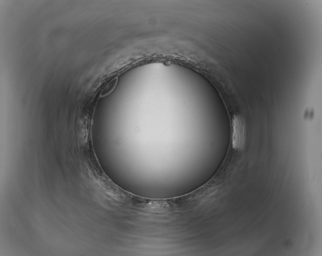 X0000111941491200907271400