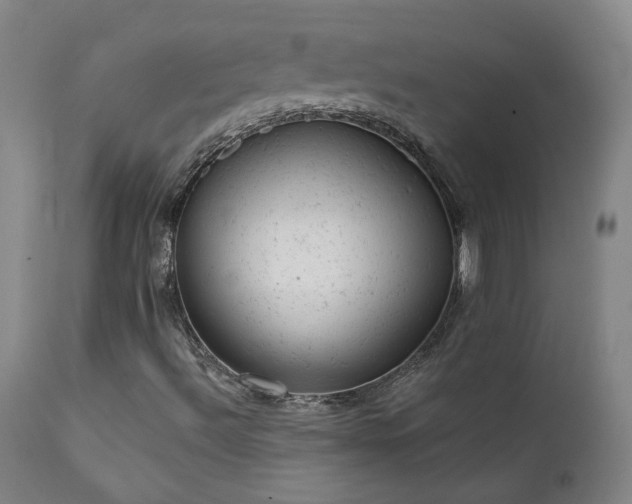 X0000111941492200907271400