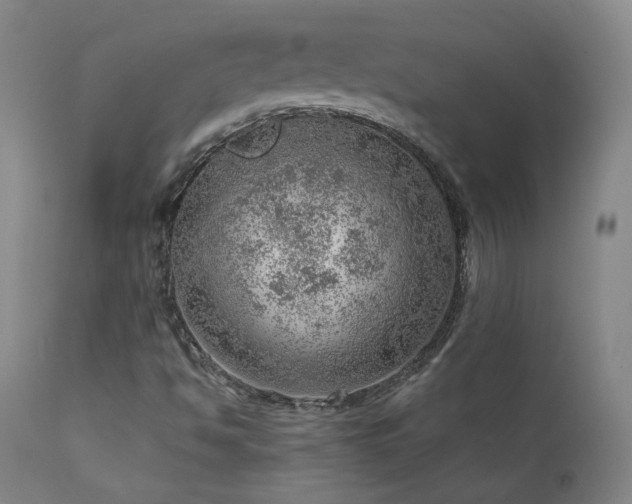 X0000111941494200907271400
