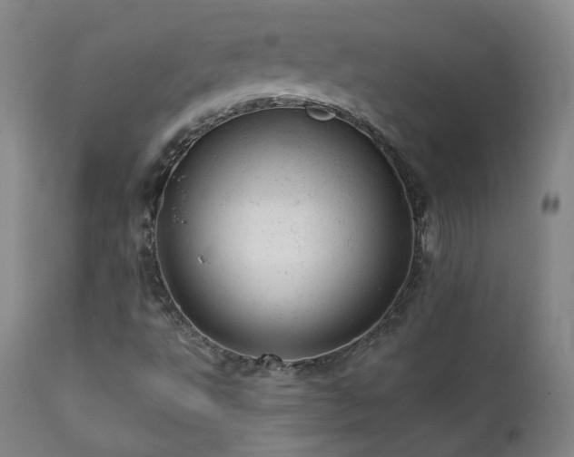 X0000111941495200907271400