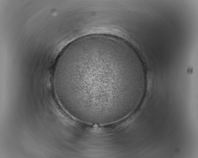 X0000111941497200907271400