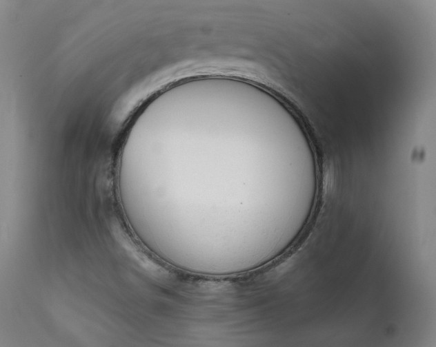 X0000111941498200907271400