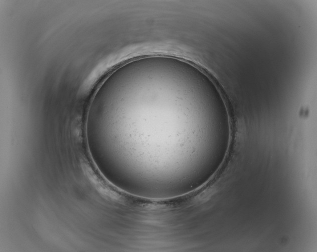X0000111941499200907271400