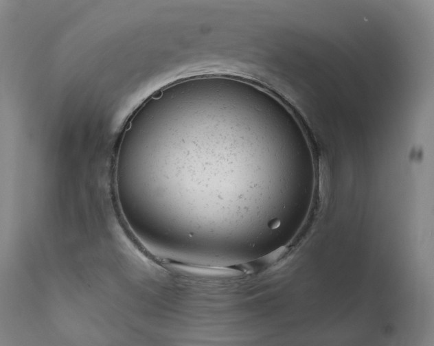 X0000111941500200907271400