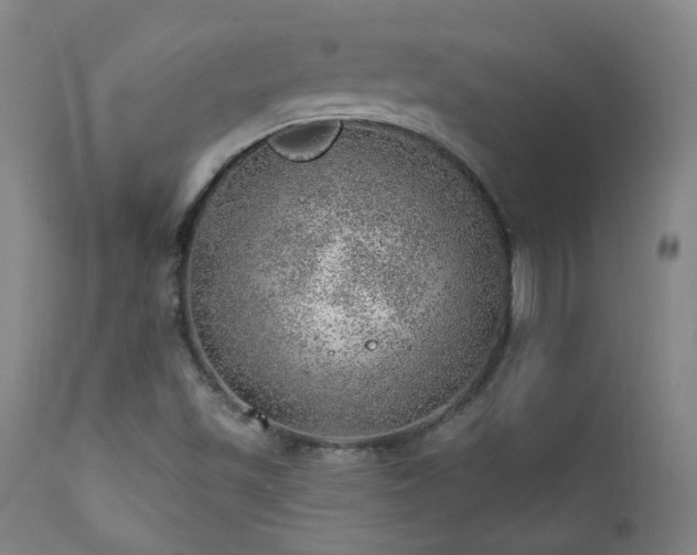 X0000111941501200907271400