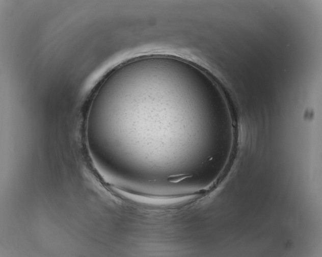 X0000111941502200907271400