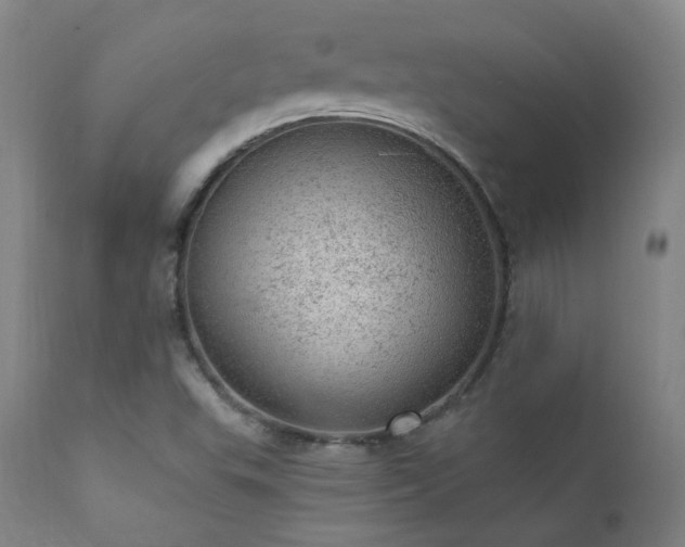 X0000111941503200907271400