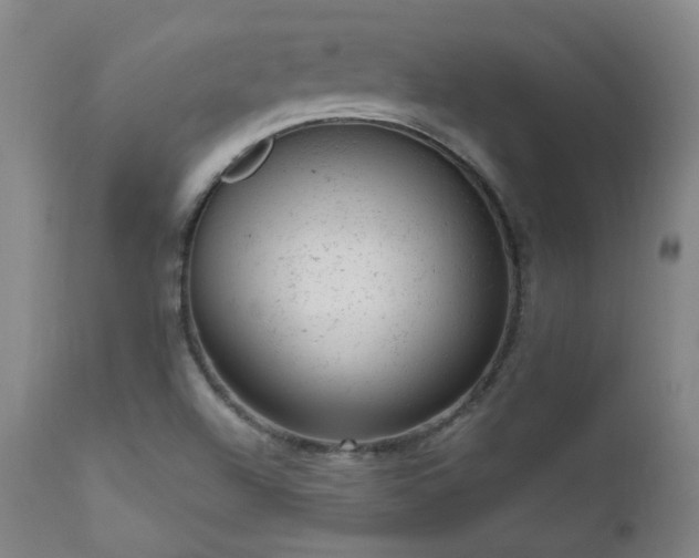 X0000111941504200907271400