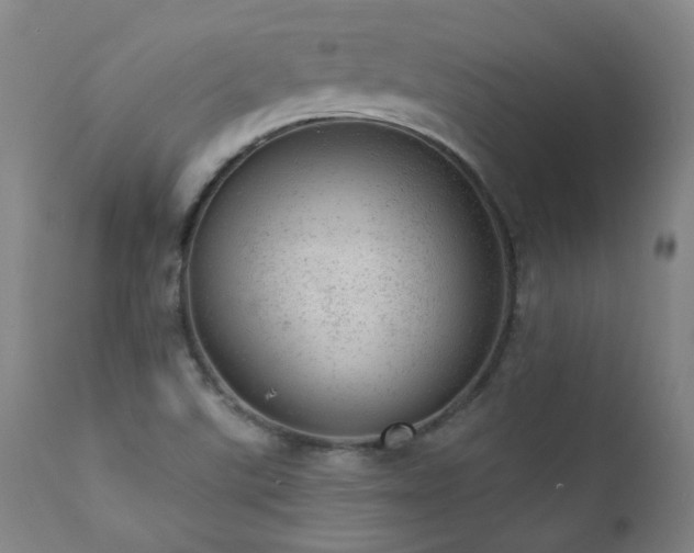 X0000111941507200907271400
