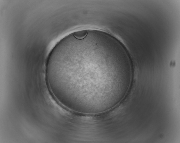 X0000111941508200907271400