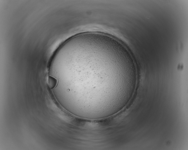 X0000111941509200907271400
