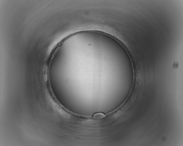X0000111941510200907271400