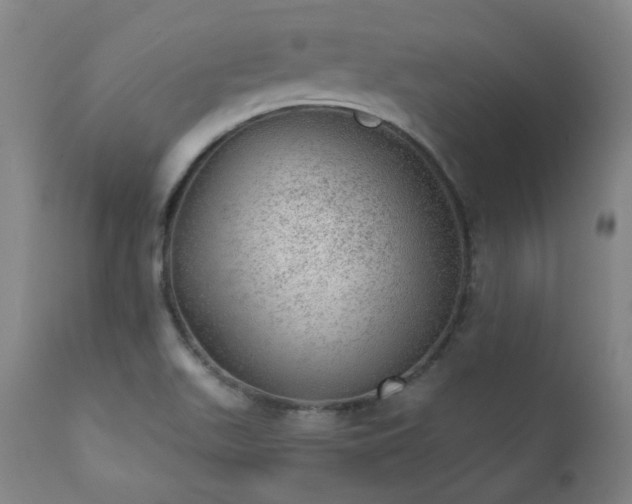 X0000111941511200907271400