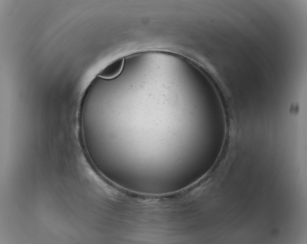 X0000111941512200907271400