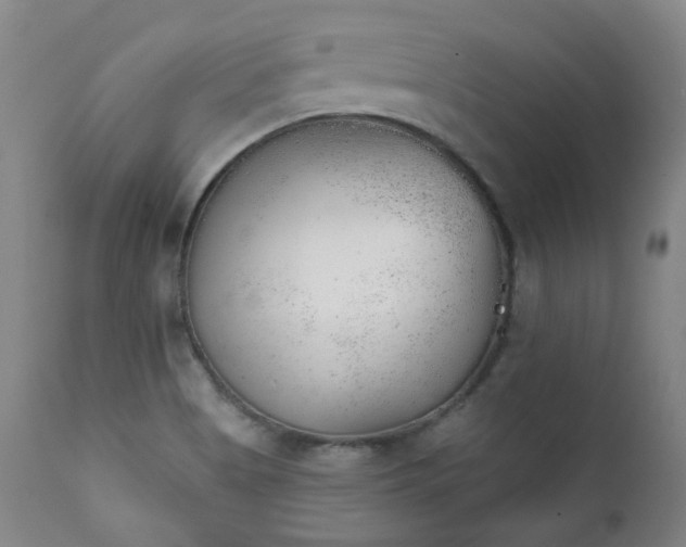 X0000111941513200907271400