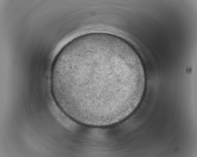 X0000111941514200907271400