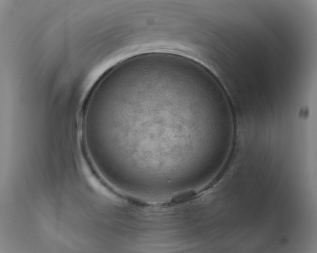X0000111941515200907271400