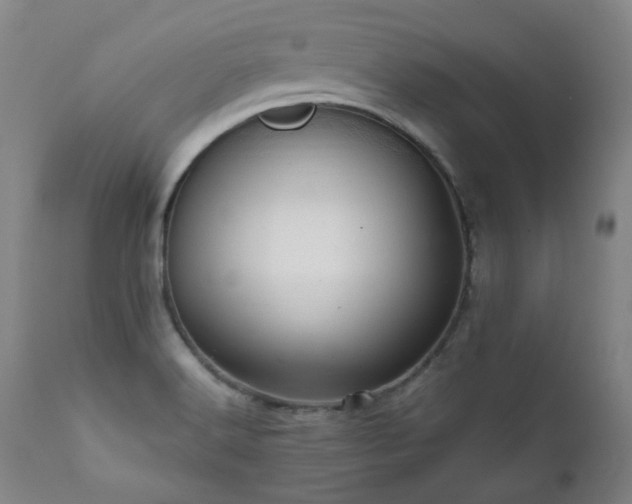 X0000111941516200907271400