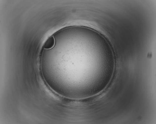 X0000111941517200907271400