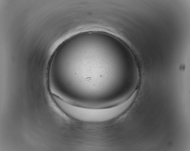 X0000111941518200907271400