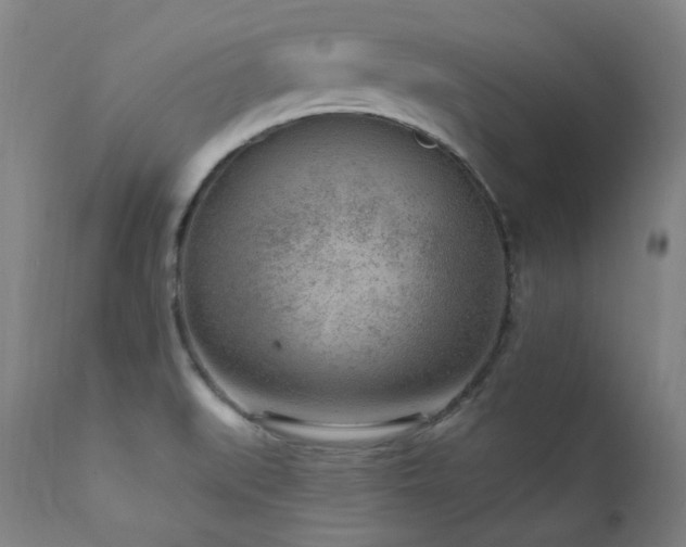X0000111941519200907271400