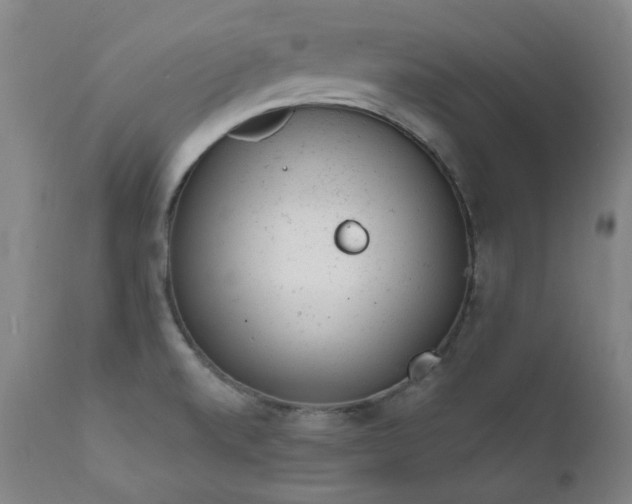 X0000111941520200907271400