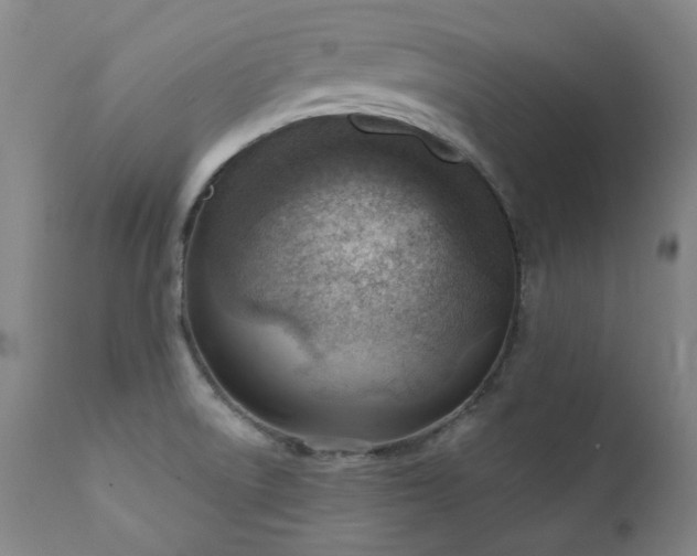 X0000111941522200907271400