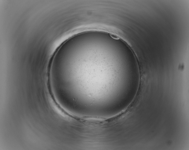 X0000111941523200907271401