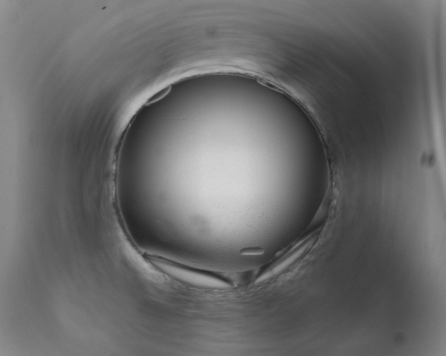 X0000111941524200907271401