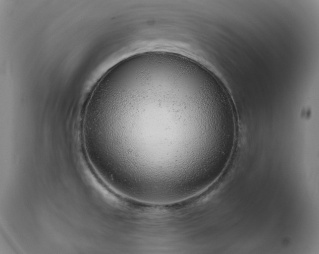X0000111941525200907271401