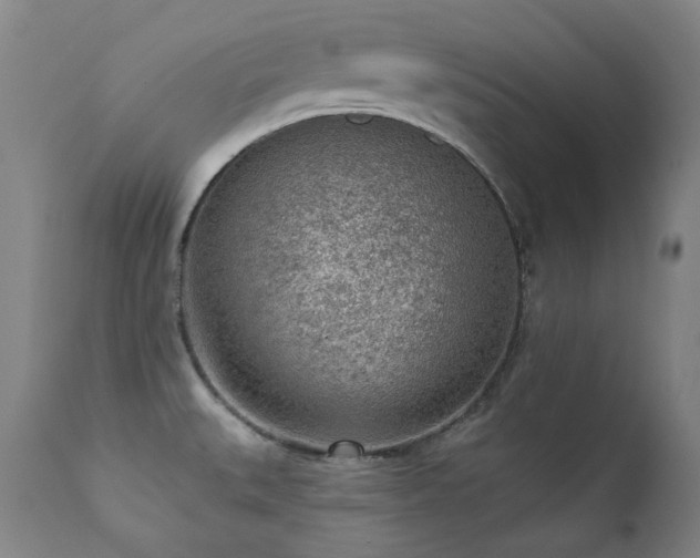 X0000111941527200907271401