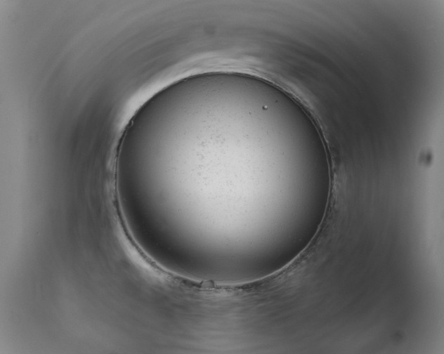 X0000111941528200907271401