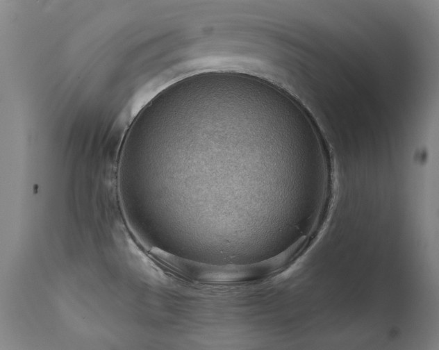 X0000111941529200907271401