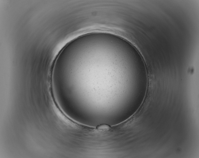 X0000111941531200907271401