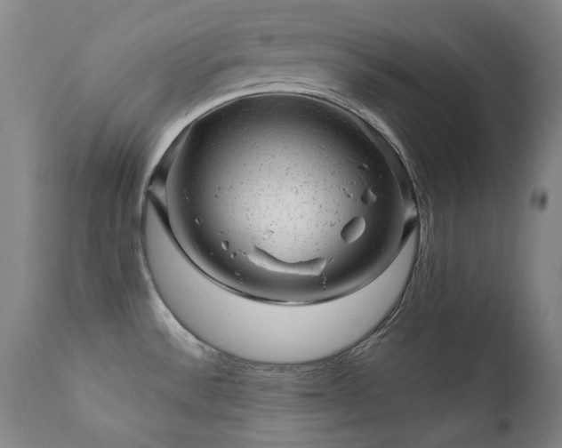 X0000111941532200907271401