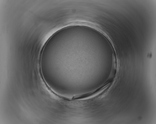 X0000111941533200907271401