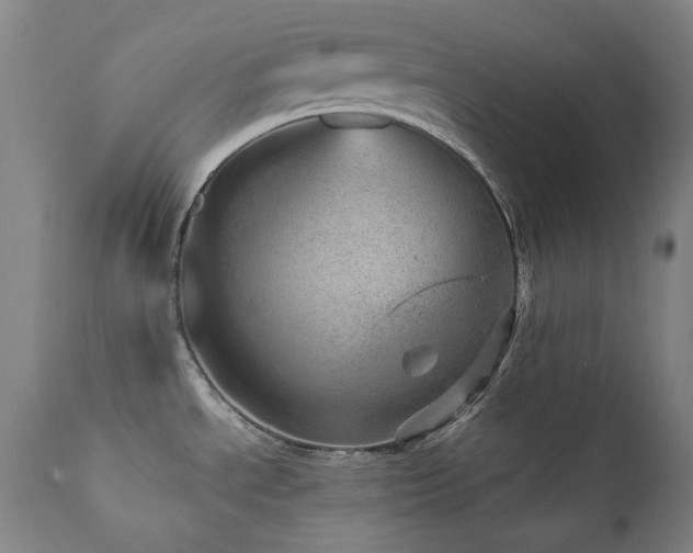 X0000111941534200907271401