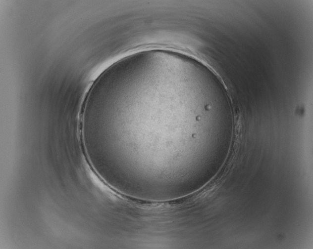 X0000111941535200907271401