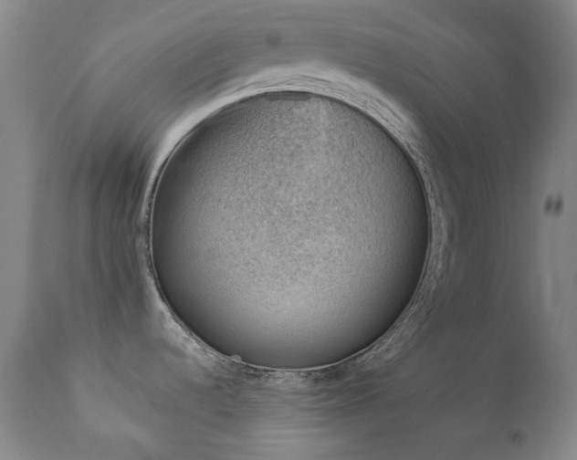 X0000111941536200907271401