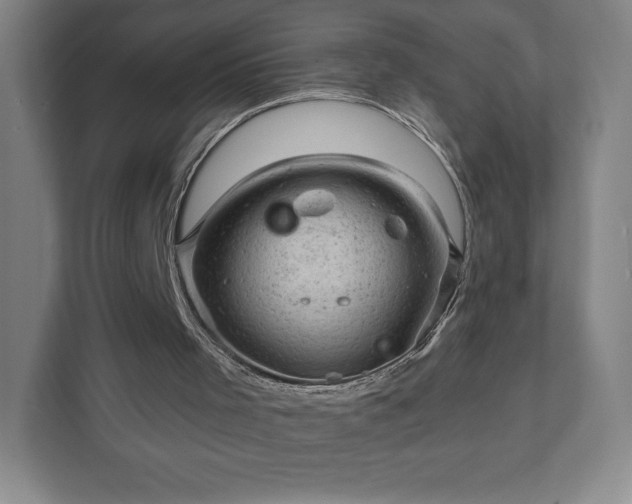 X0000111940001200908031147