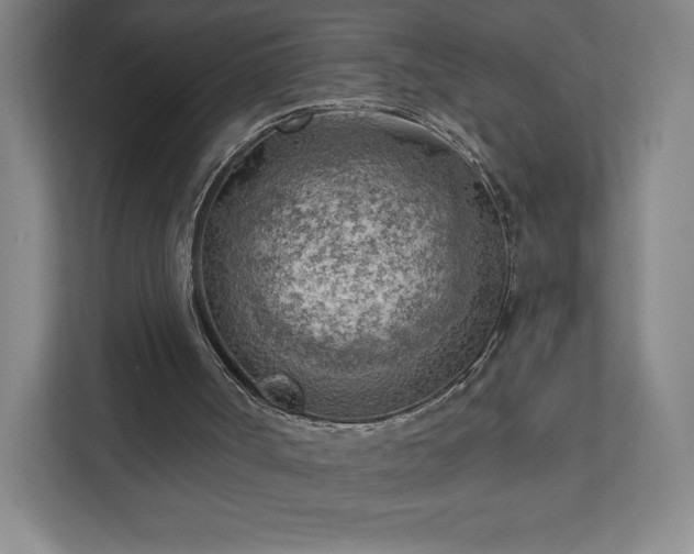 X0000111940002200908031147