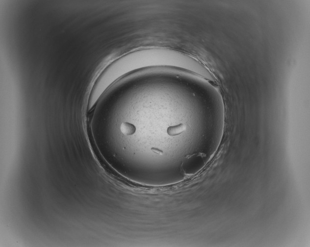 X0000111940003200908031147