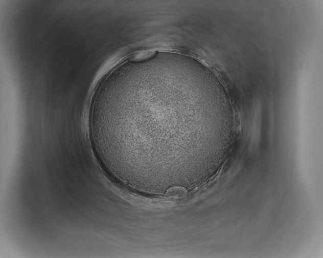 X0000111940004200908031147