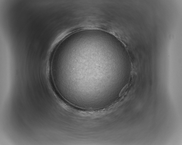 X0000111940005200908031147