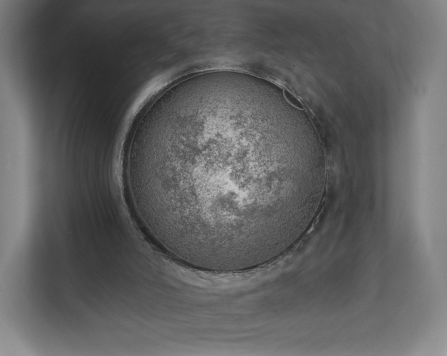 X0000111940006200908031147