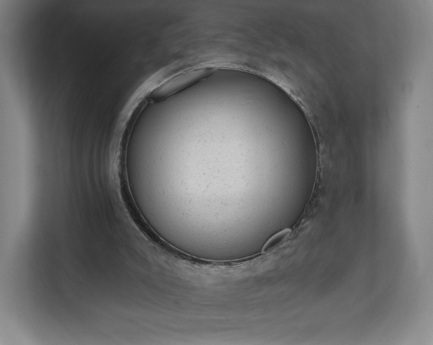 X0000111940007200908031147